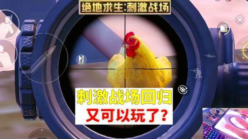 和平科技最新爆料视频,揭秘未来科技前沿动态